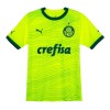 Officiële Voetbalshirt Palmeiras Derde 2023-24 - Heren